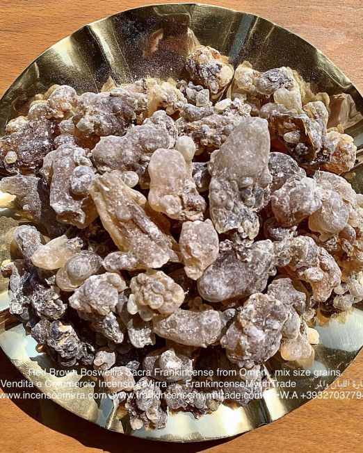 Resine naturali di incenso della qualità Boswellia Sacra importate dal Sultanato dell'Oman, frankincenso Oman in grani di Boswellia Sacra.