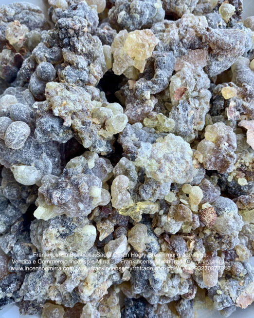 Incenso in resina per uso liturgico in grani di resina naturale di Boswellia Sacra del Dhofar in Oman.